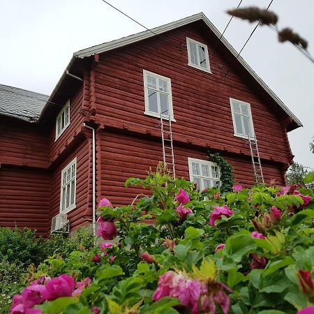 Haugtun Gardspensjonat Og Leiligheter Nordre Land 외부 사진
