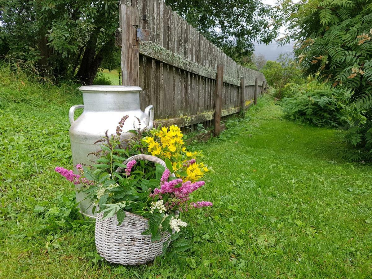 Haugtun Gardspensjonat Og Leiligheter Nordre Land 외부 사진