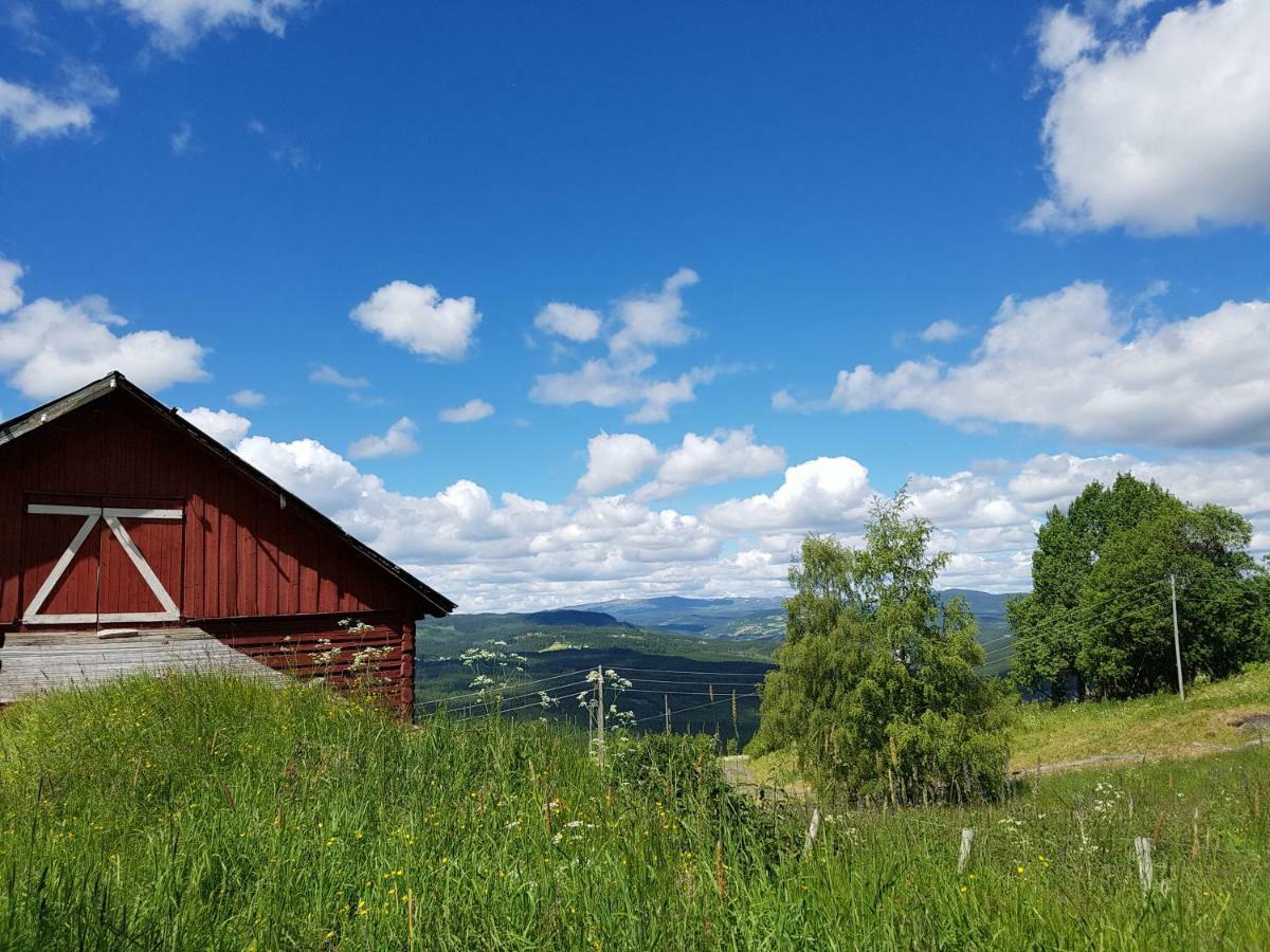 Haugtun Gardspensjonat Og Leiligheter Nordre Land 외부 사진