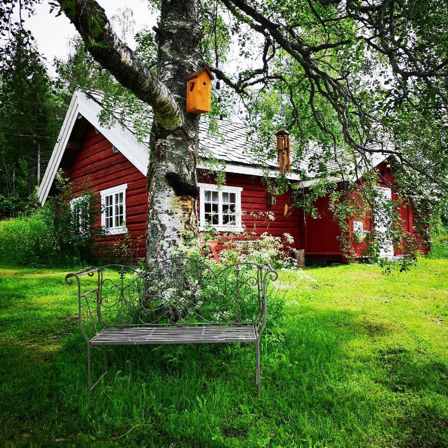 Haugtun Gardspensjonat Og Leiligheter Nordre Land 외부 사진